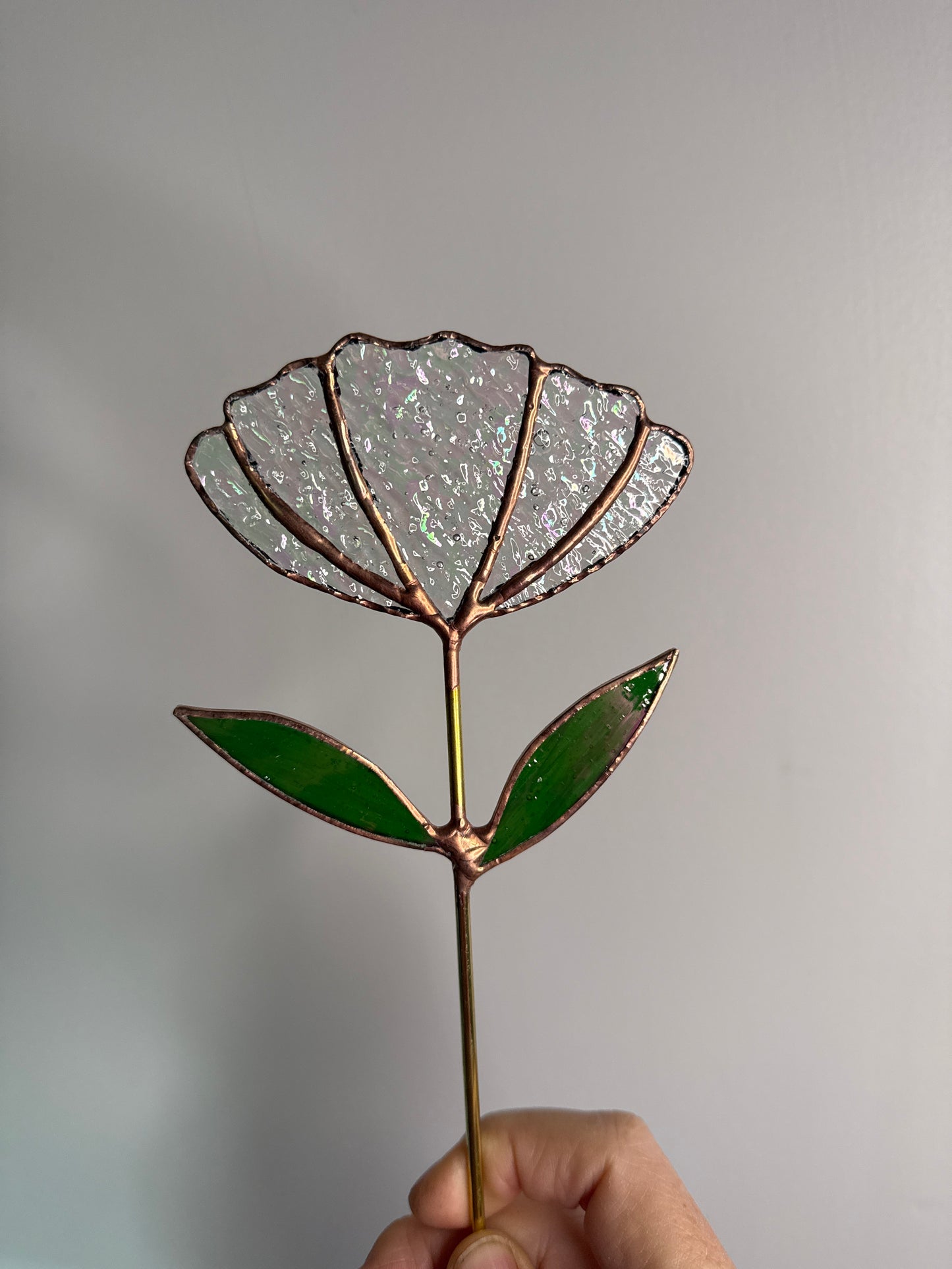 Stainedglass iridises clear Tulip flower stem