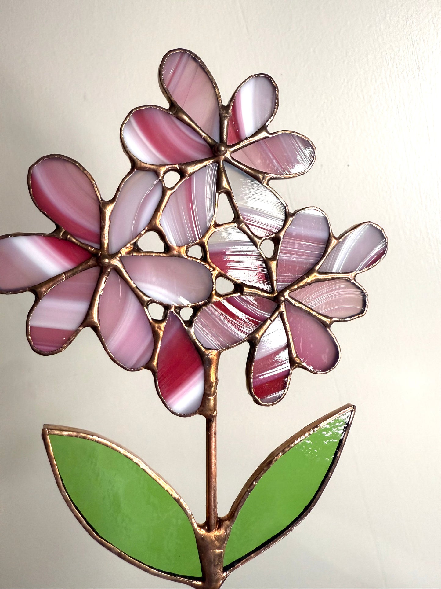 Stainedglass Hydrangea Blue flower stem
