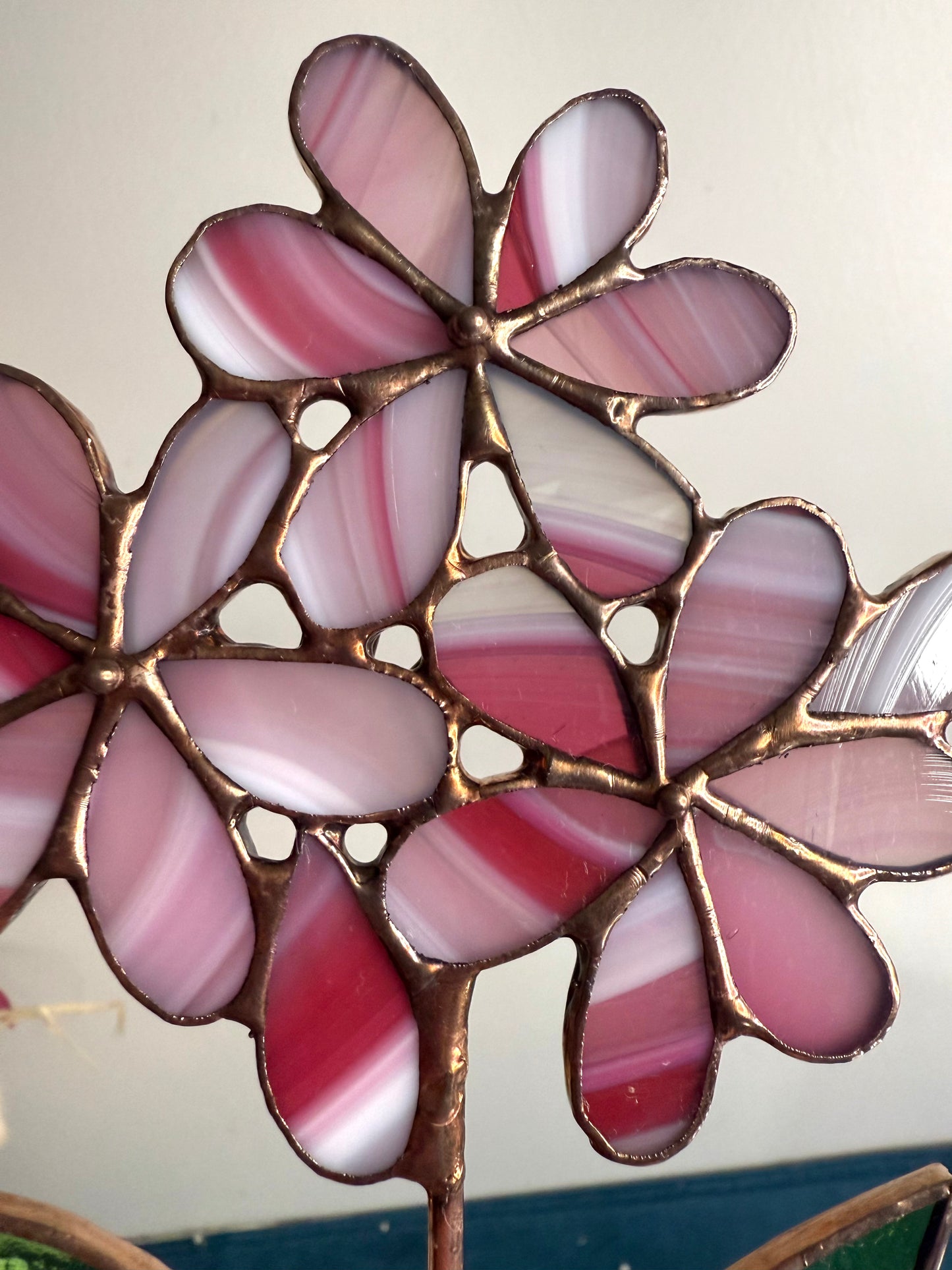 Stainedglass Hydrangea Blue flower stem