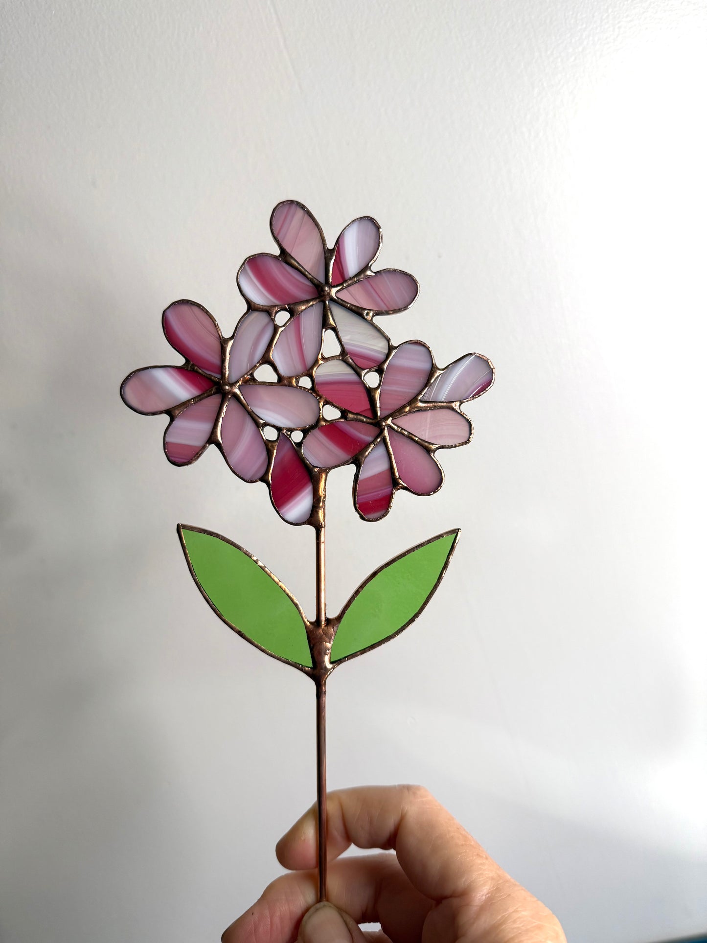Stainedglass Hydrangea Blue flower stem