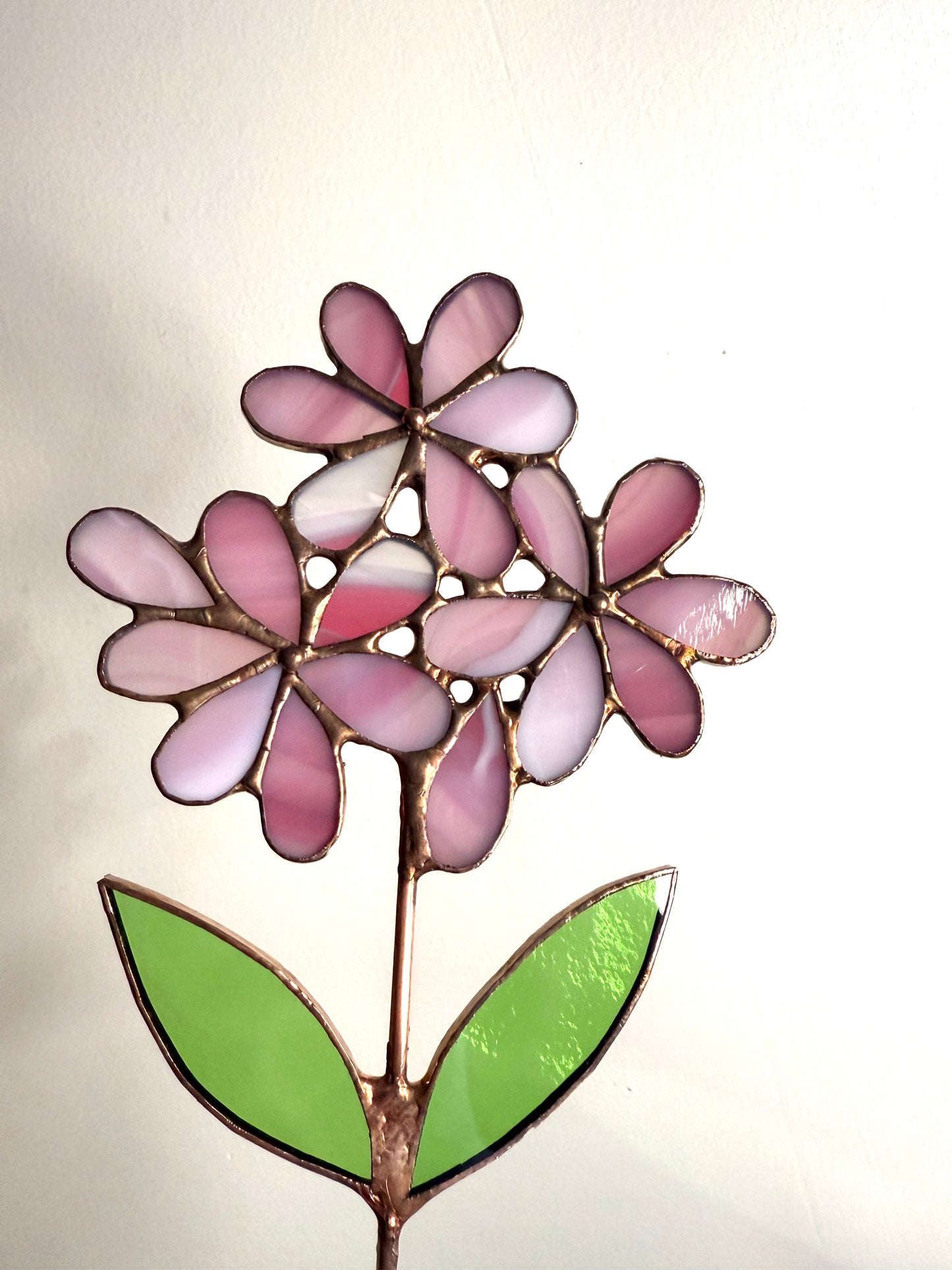 Stainedglass Hydrangea Blue flower stem