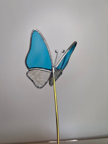 Blue Butterfly stem