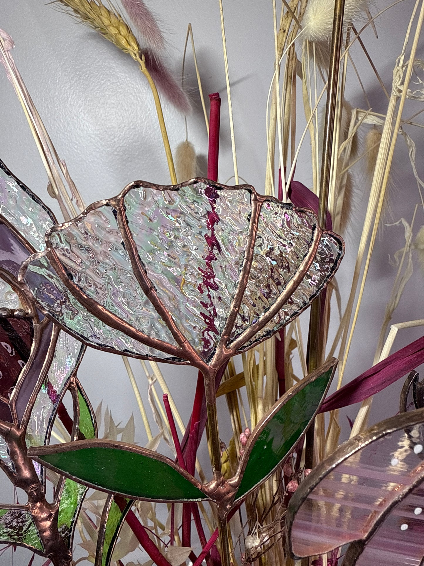 Stainedglass iridises clear Tulip flower stem