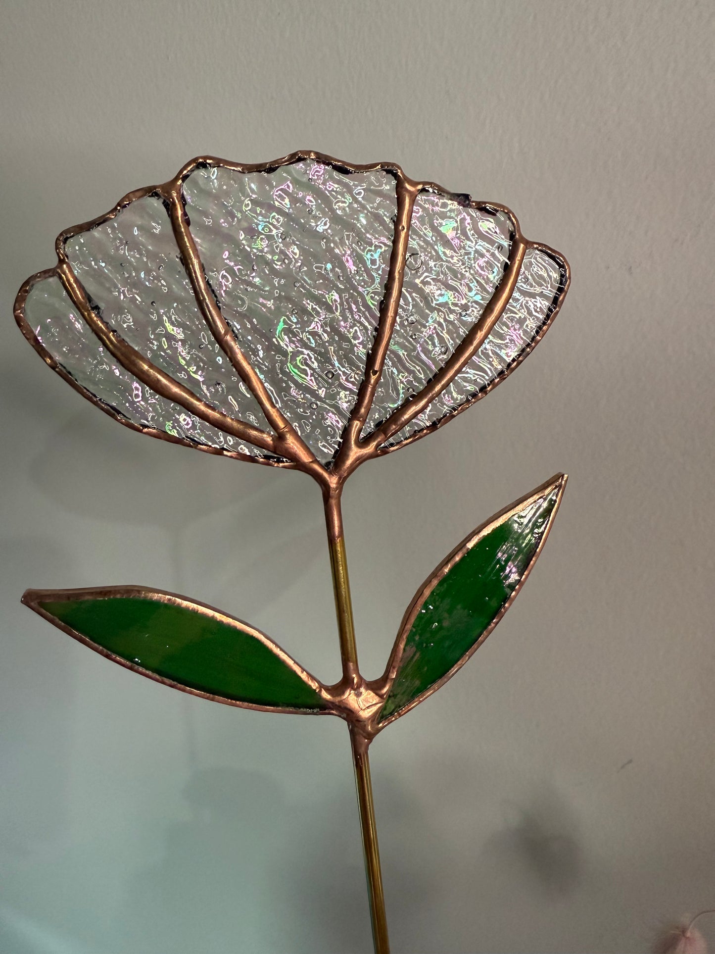 Stainedglass iridises clear Tulip flower stem