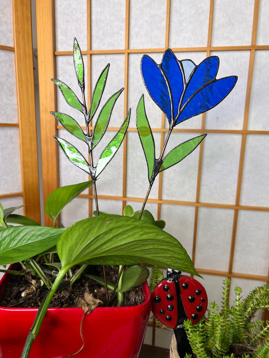 Blue flower stem