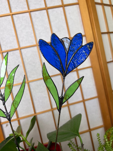 Blue flower stem