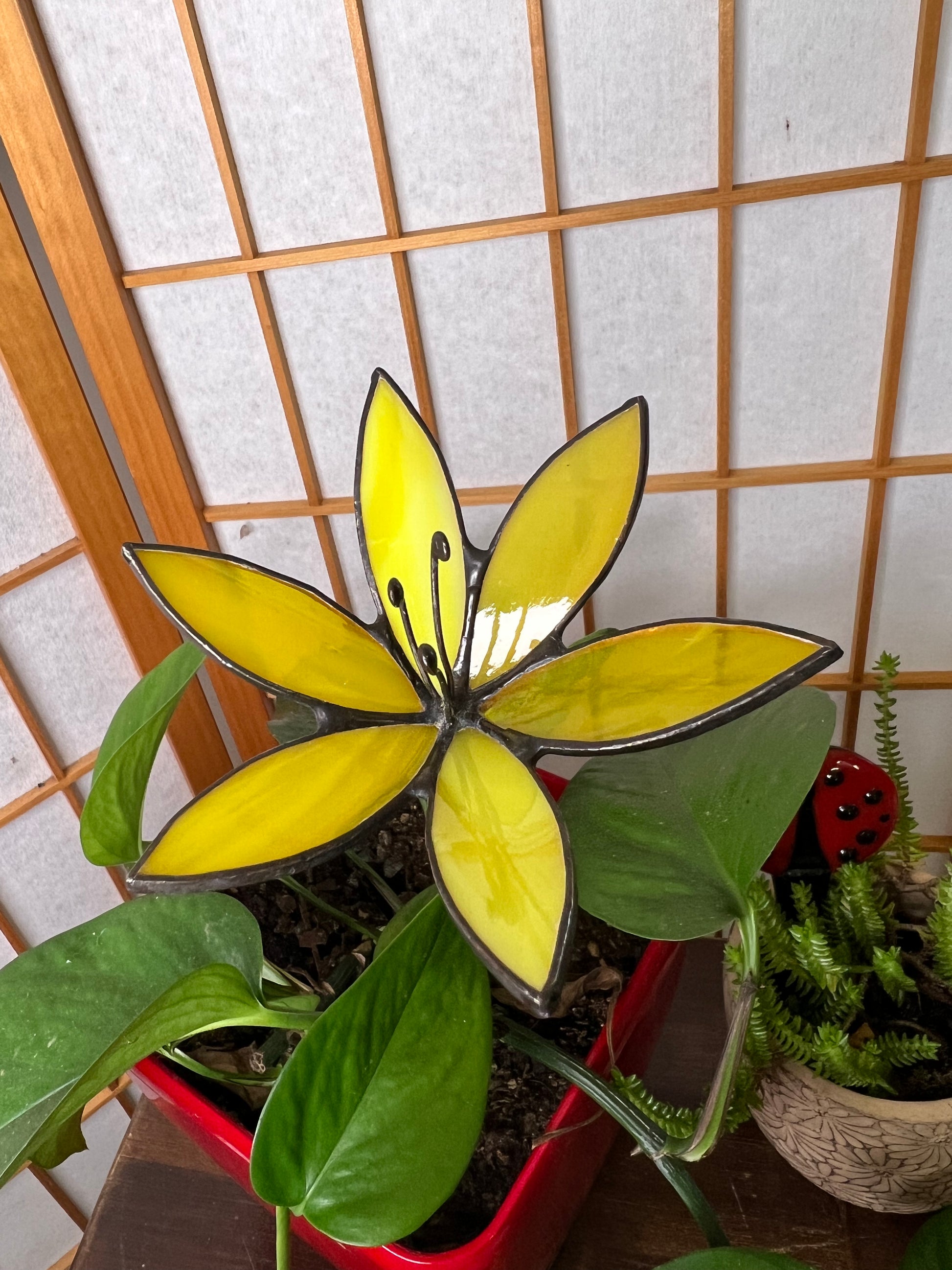 Glass Lily Flower