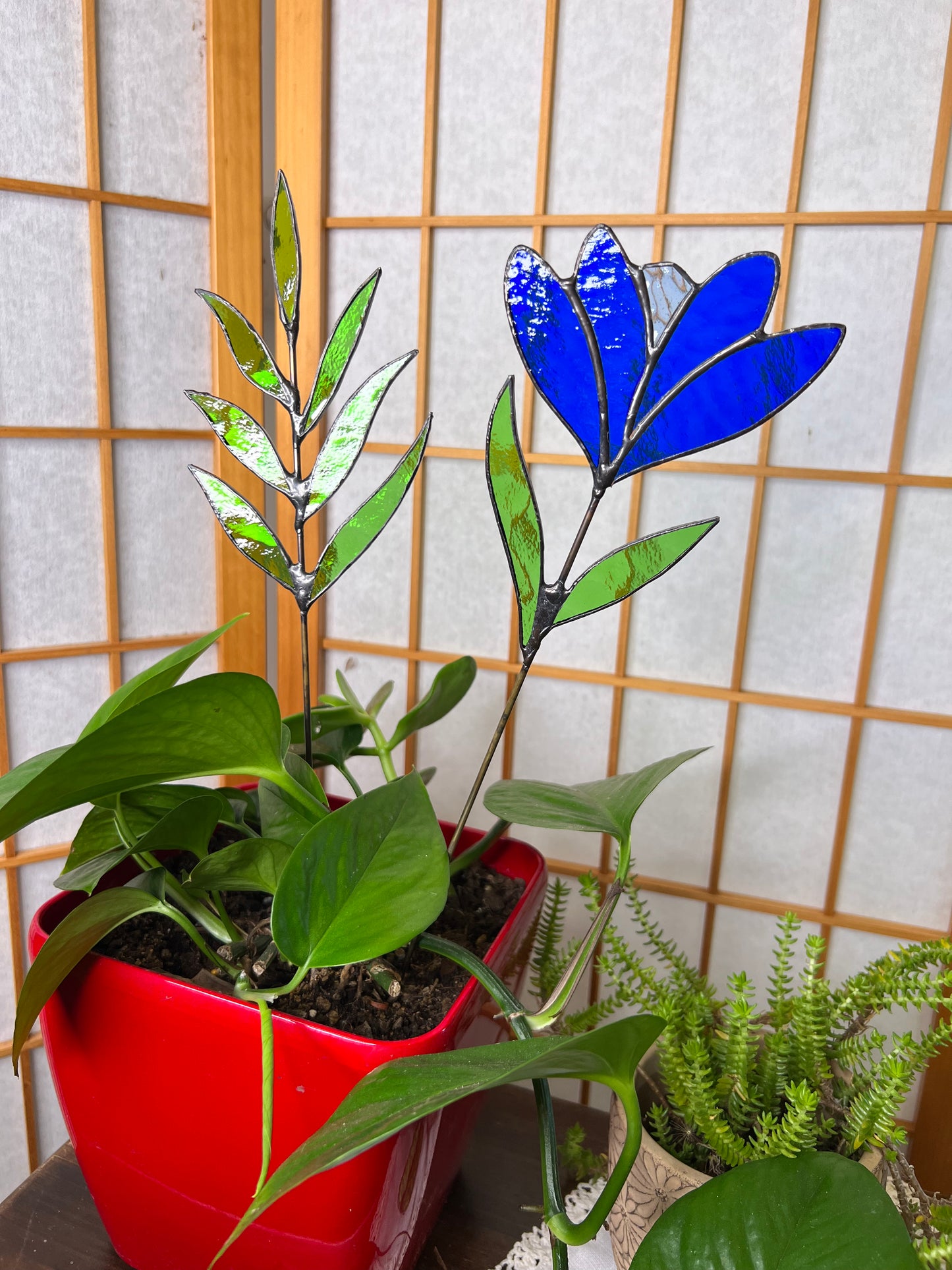 Blue flower stem