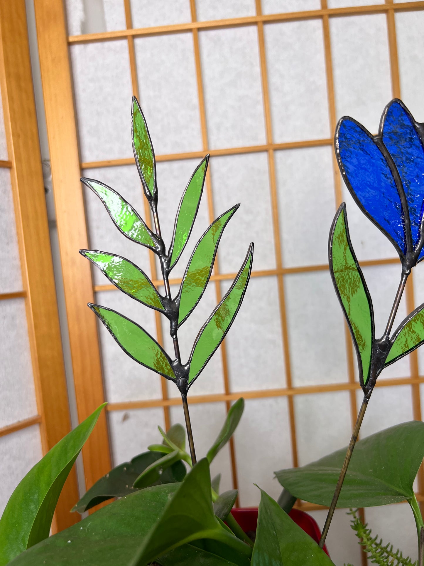 Blue flower stem