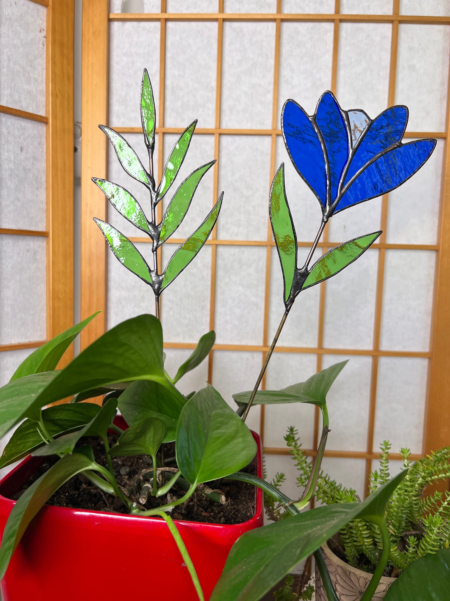 Blue flower stem