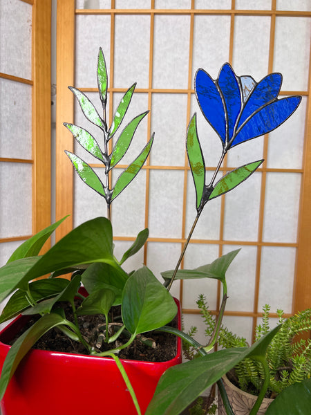 Blue flower stem
