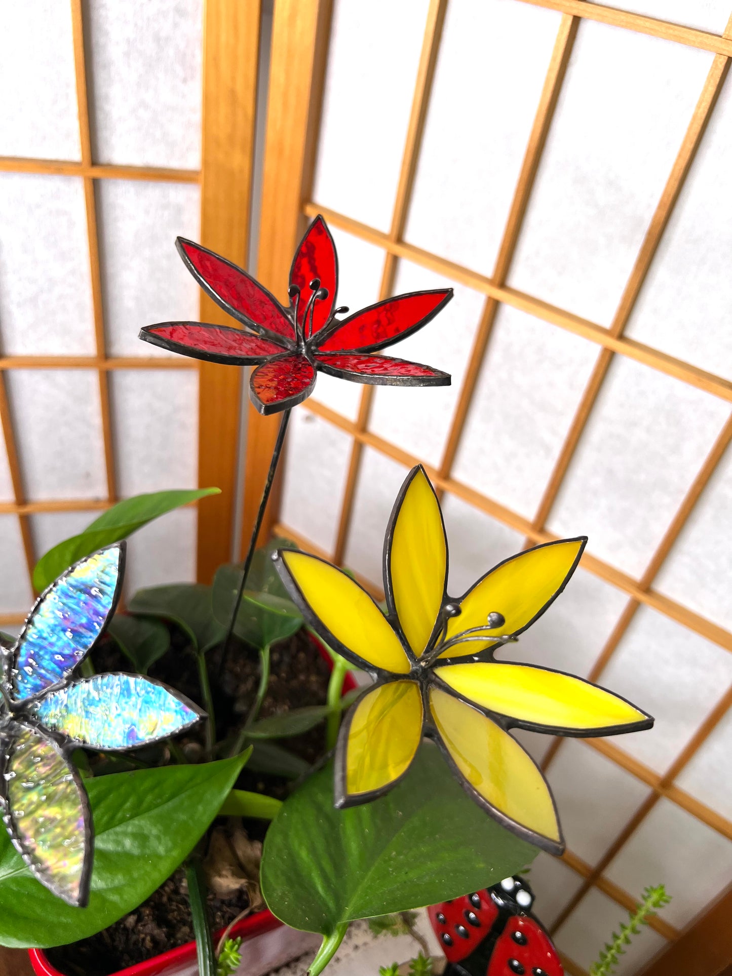 Glass Lily Flower