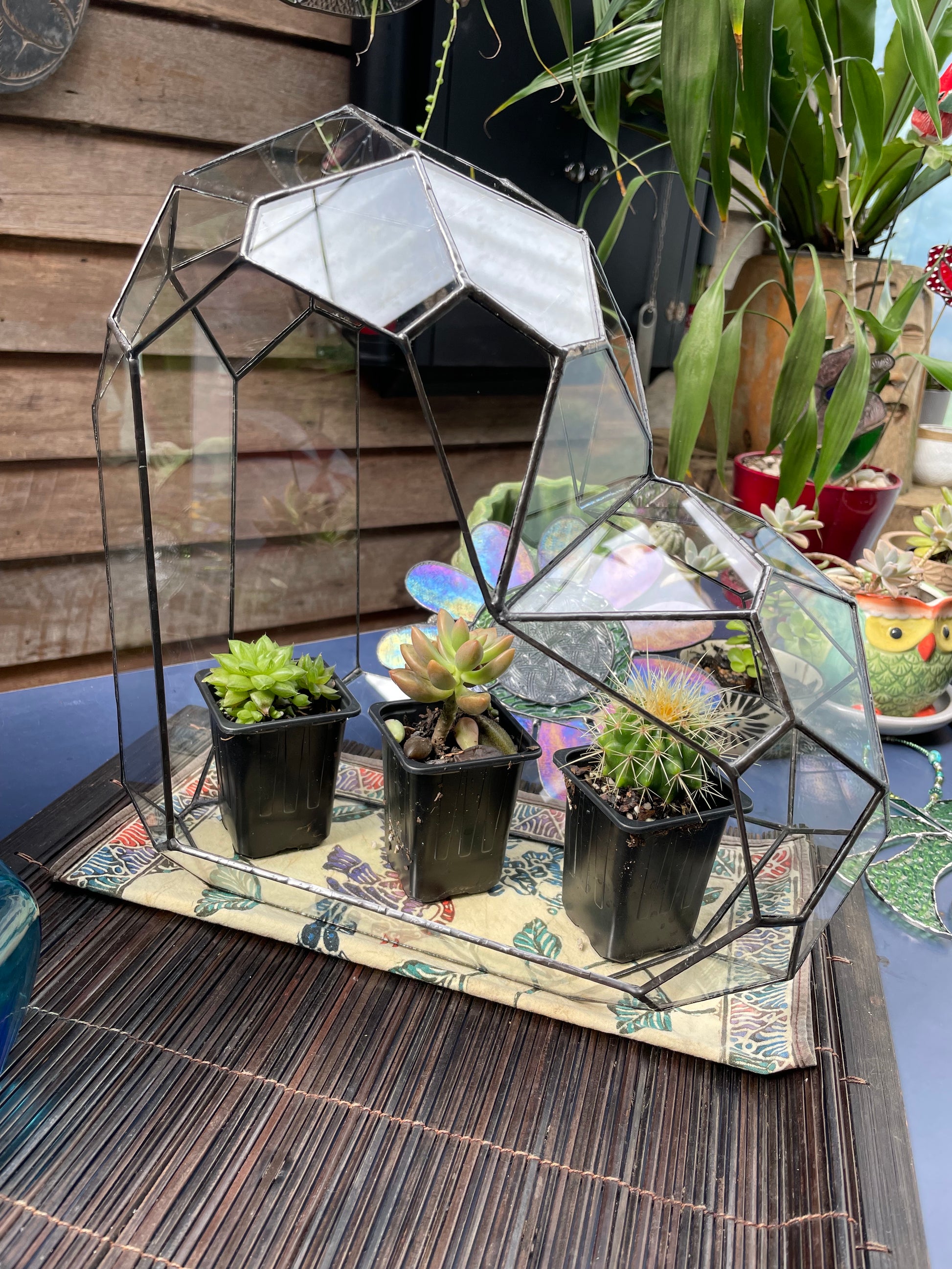 3d Glass Terrarium