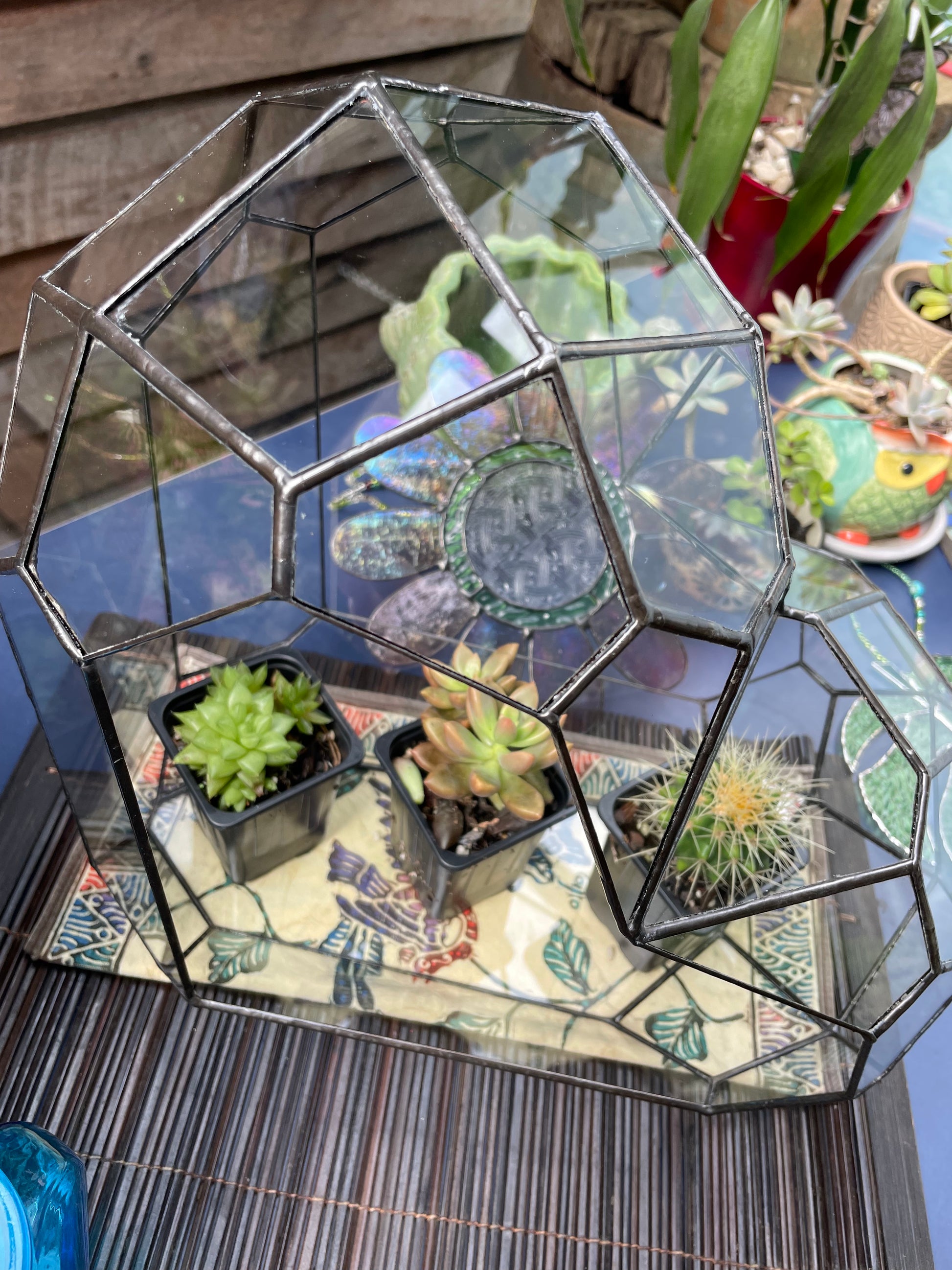 3d Glass Terrarium