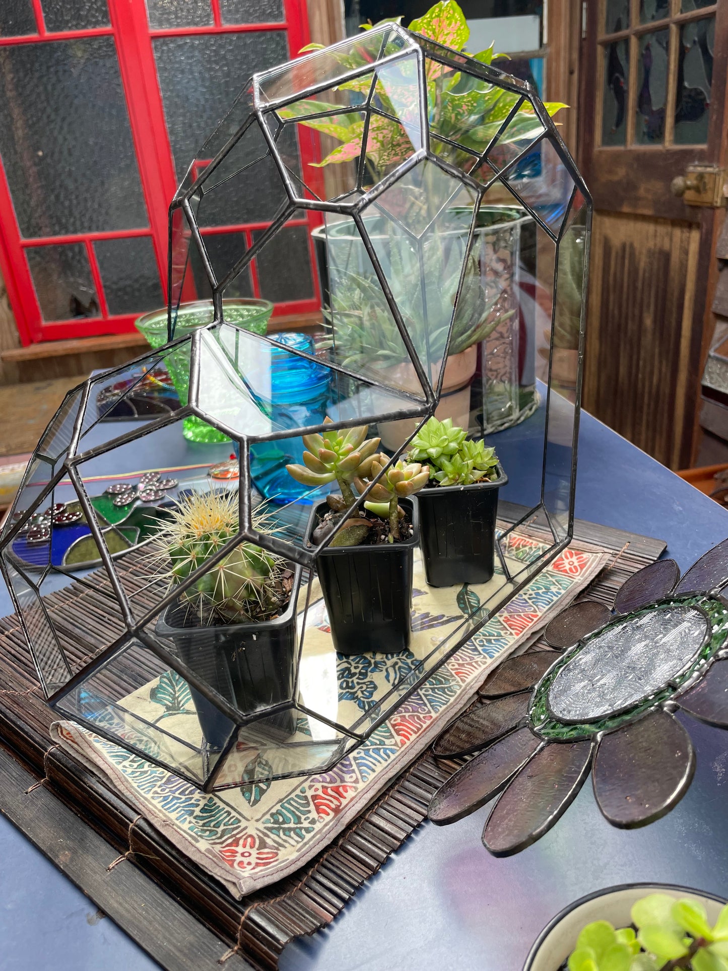 3d Glass Terrarium