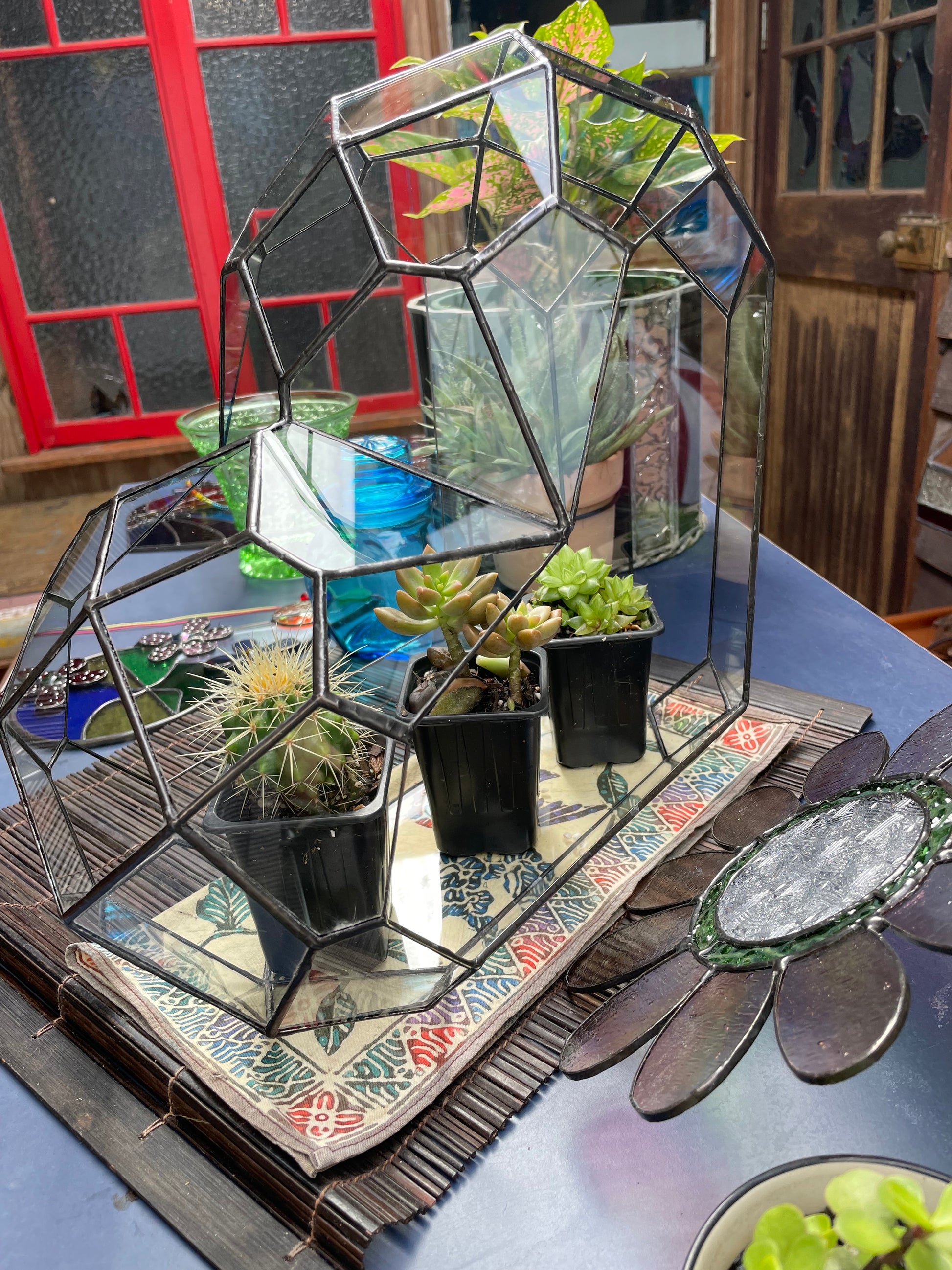 3d Glass Terrarium