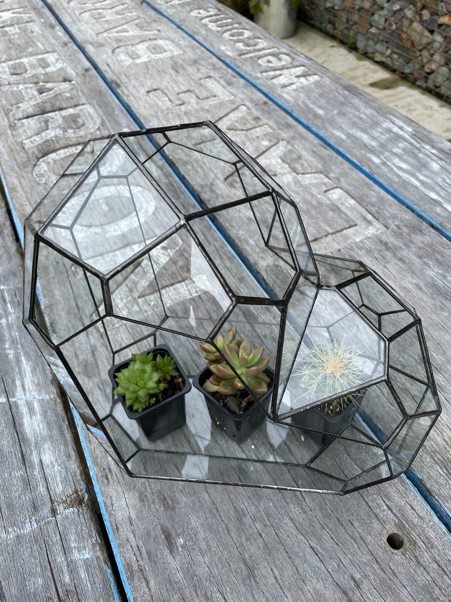 3d Glass Terrarium