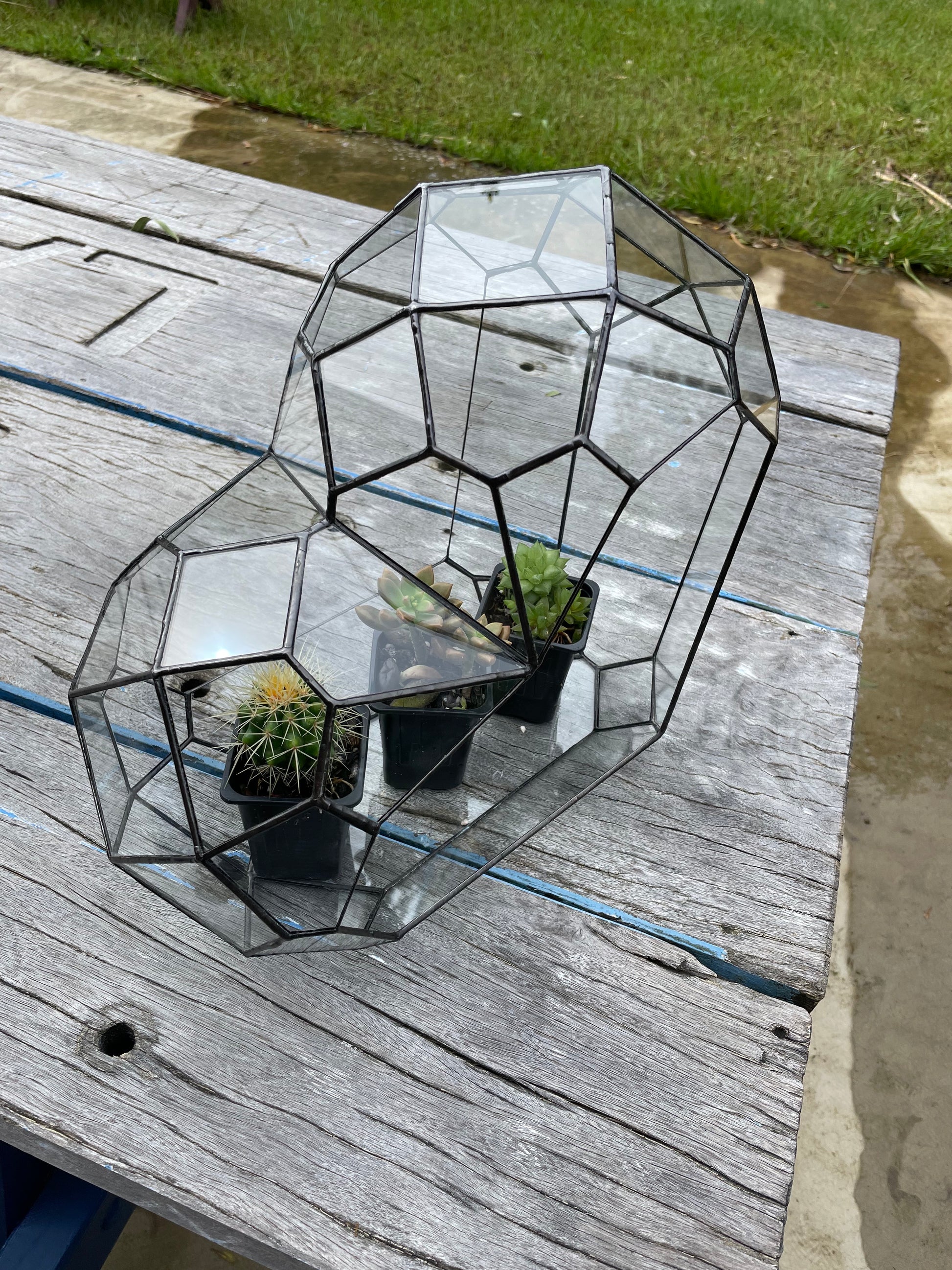 3d Glass Terrarium