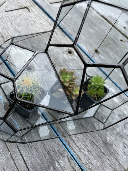3d Glass Terrarium