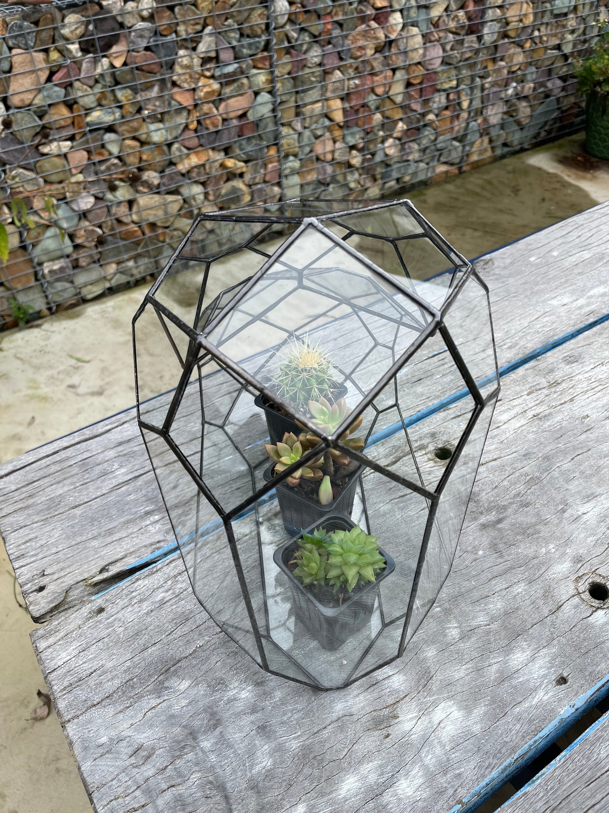 3d Glass Terrarium