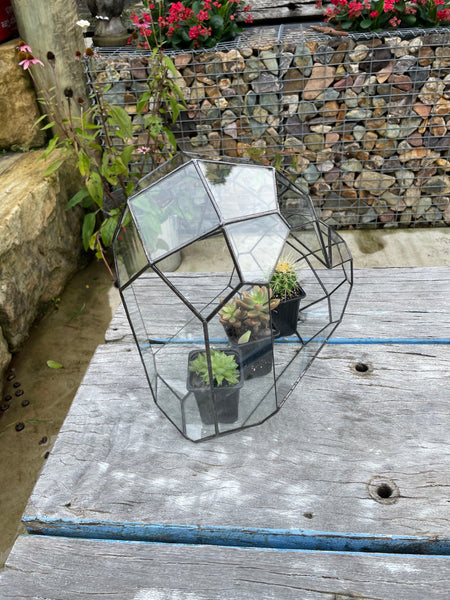 3d Glass Terrarium