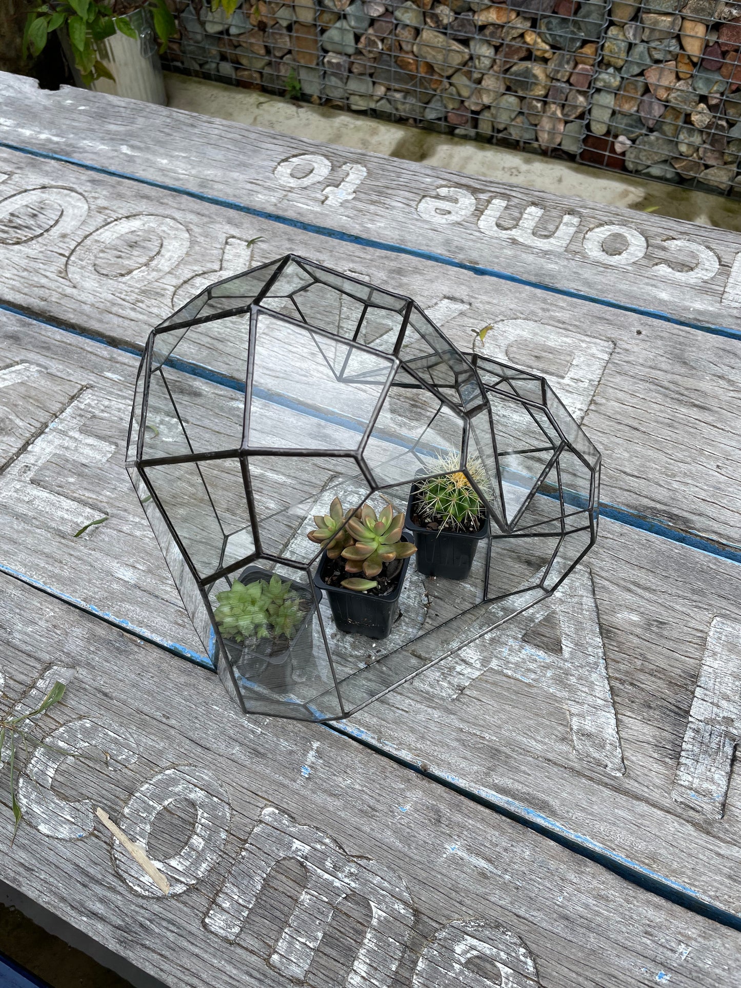 3d Glass Terrarium