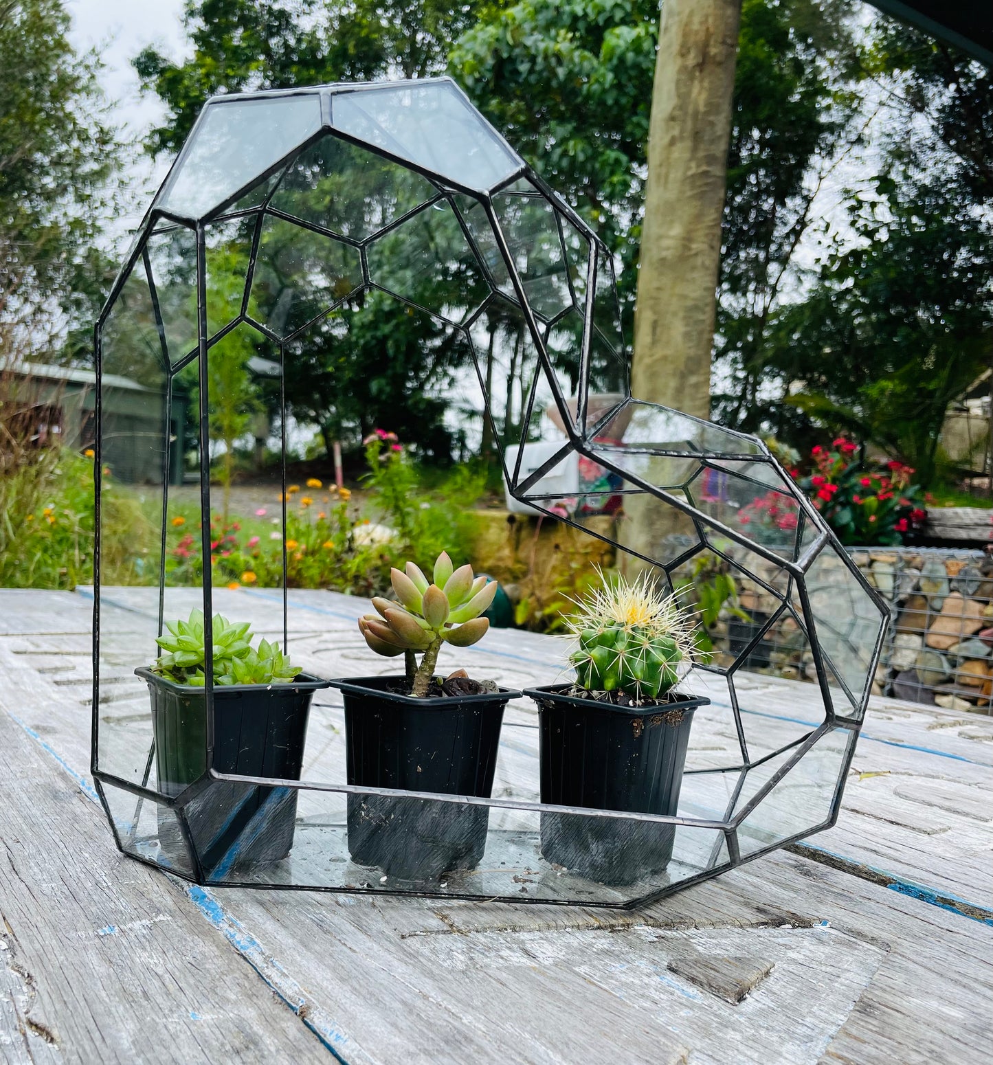 3d Glass Terrarium