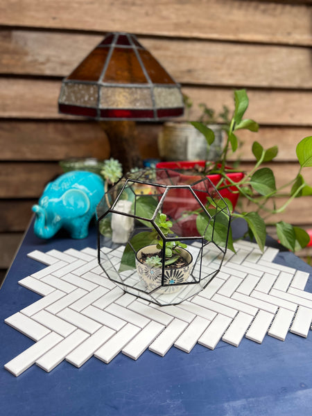 Clear glass cube shaped terrarium