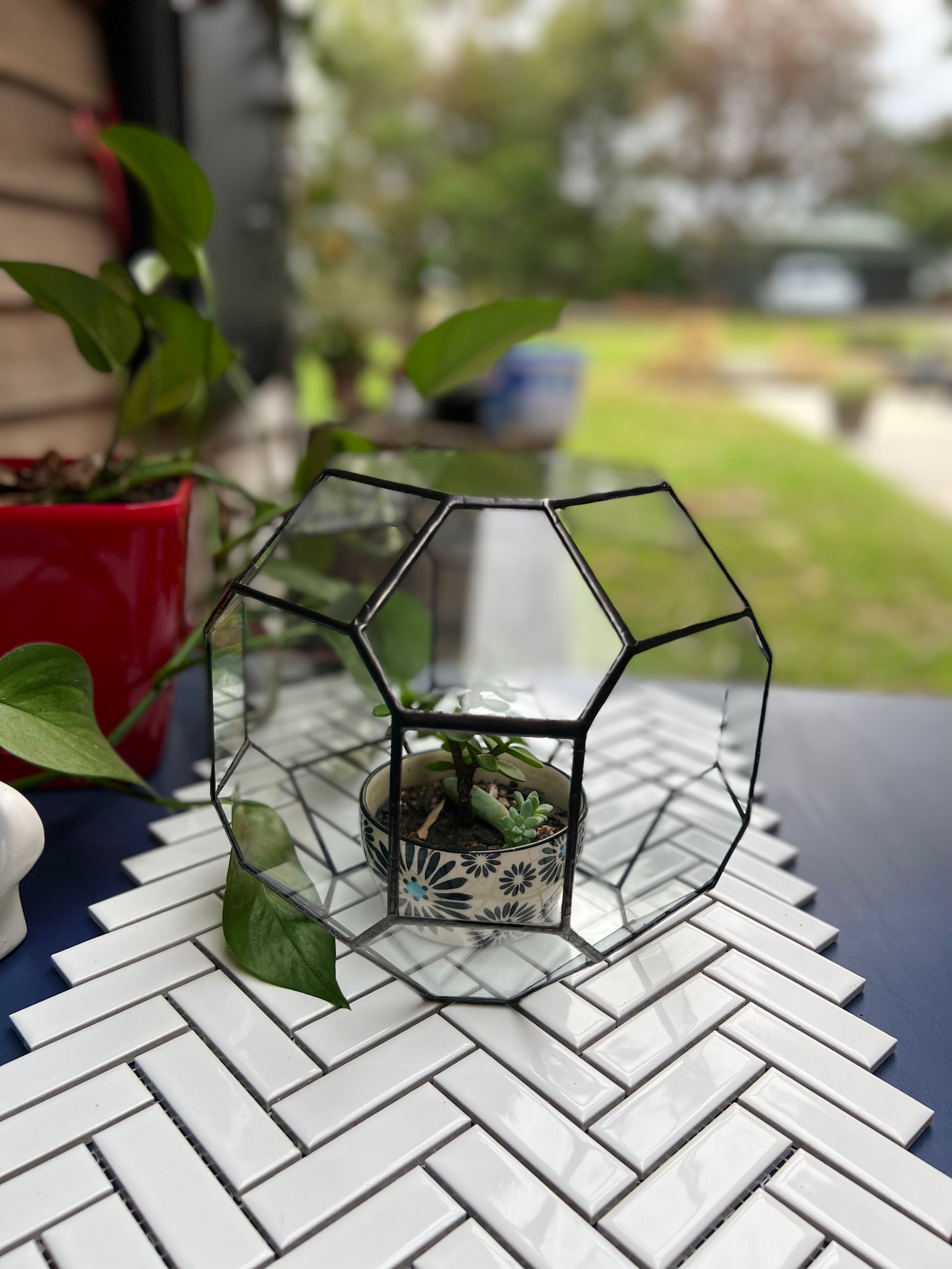 Clear glass cube shaped terrarium